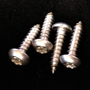 Short Security Screw set of 4